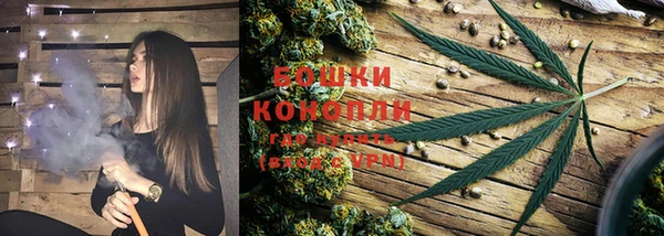 мдпв Нея