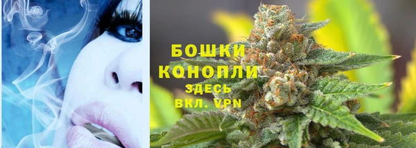 mdma Новодвинск