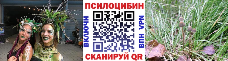 кракен маркетплейс  Крым  Псилоцибиновые грибы Cubensis 